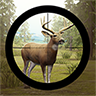 Deer Hunt