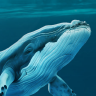 Whale, Dolphin Or Minnow