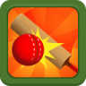 Pro Cricket Champion