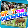 Spot The Difference