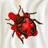 Squash The Bed Bugs